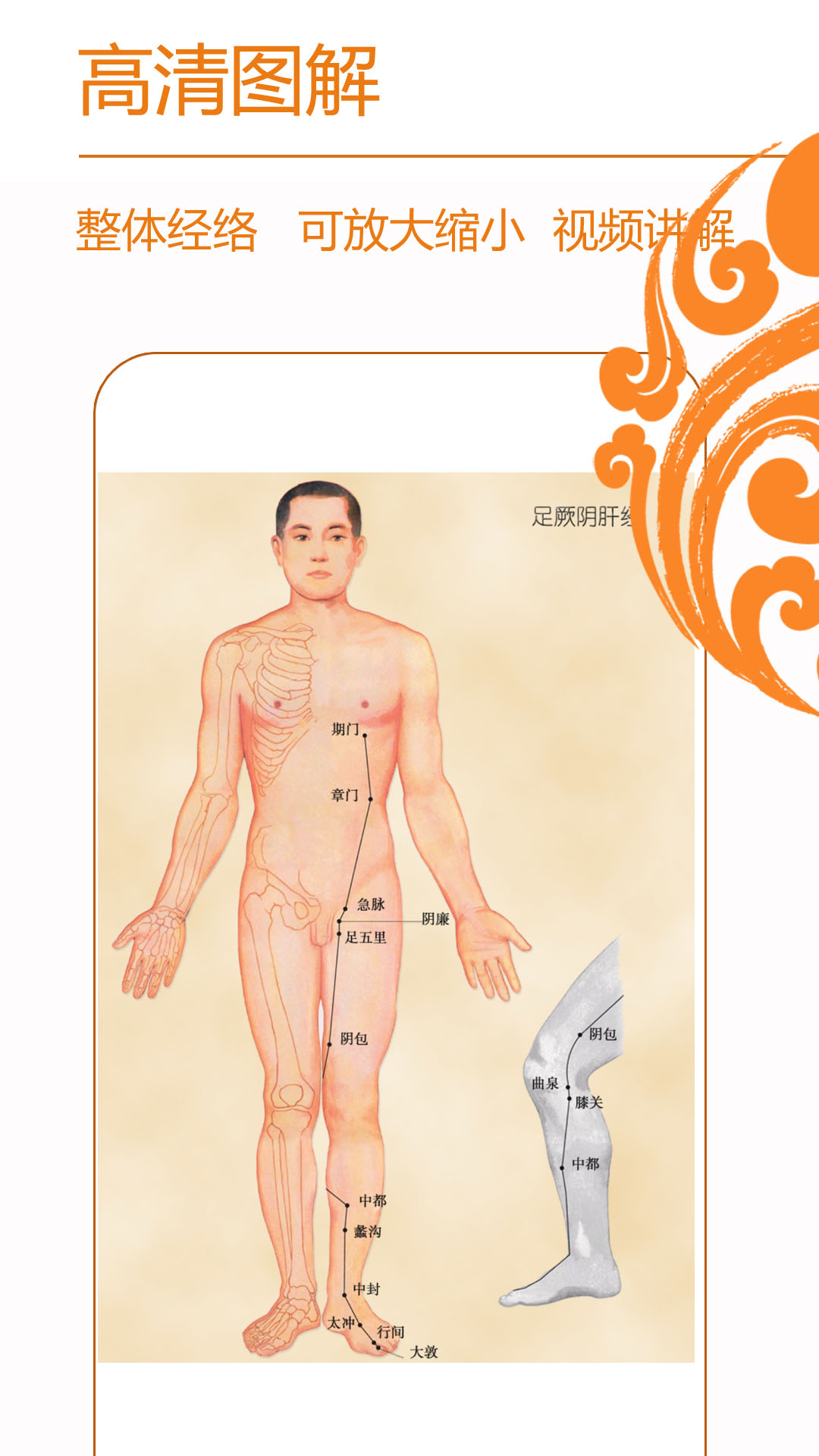 經(jīng)絡(luò)養(yǎng)生截圖預(yù)覽