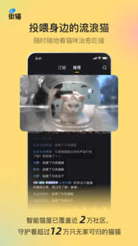 街貓截圖