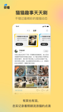 街貓截圖