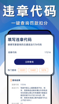 交通違章代碼查詢截圖
