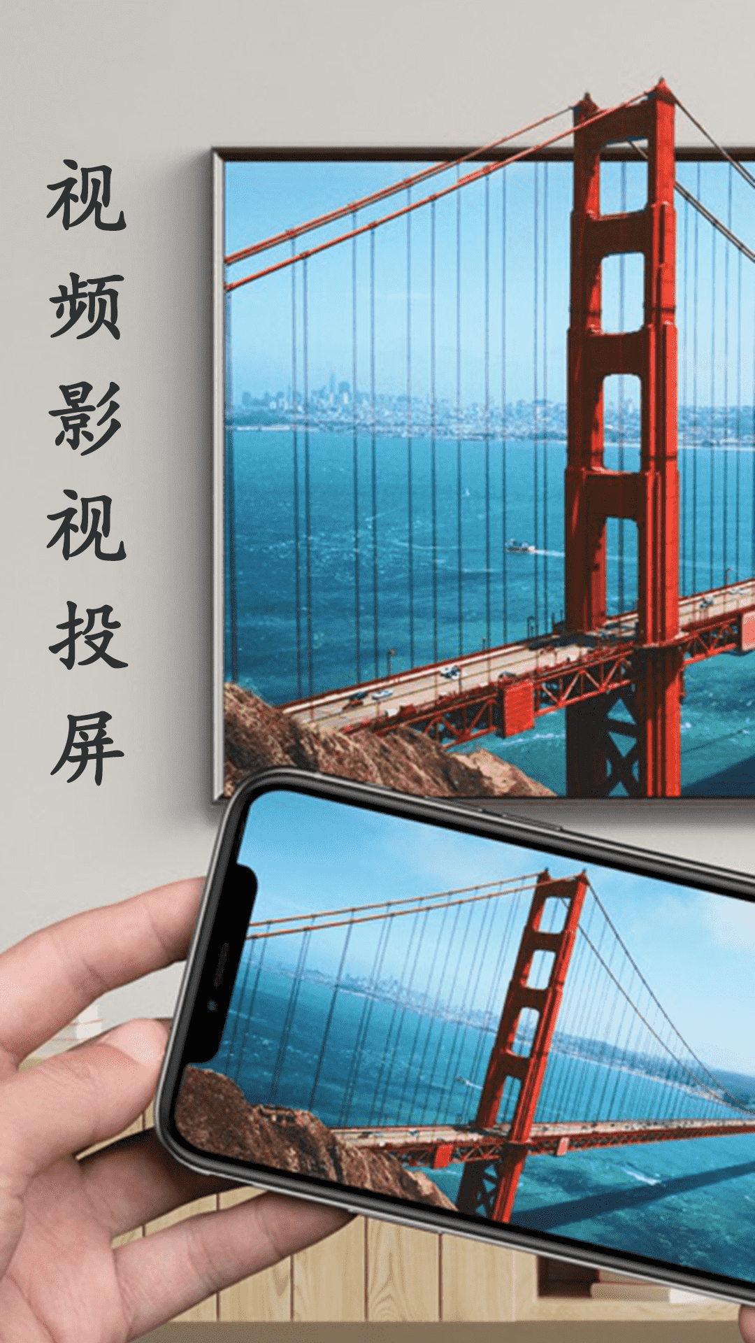 藍(lán)莓投屏截圖預(yù)覽