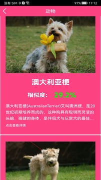 拍照識(shí)花神器截圖