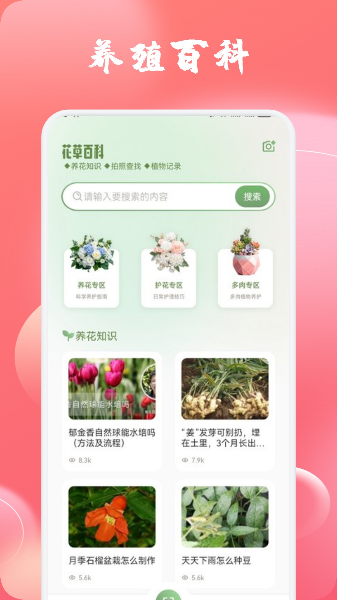 玫瑰截圖預(yù)覽