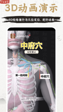 知源經(jīng)絡(luò)穴位截圖