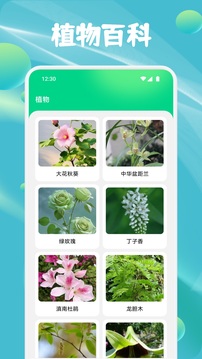 花朵物語截圖