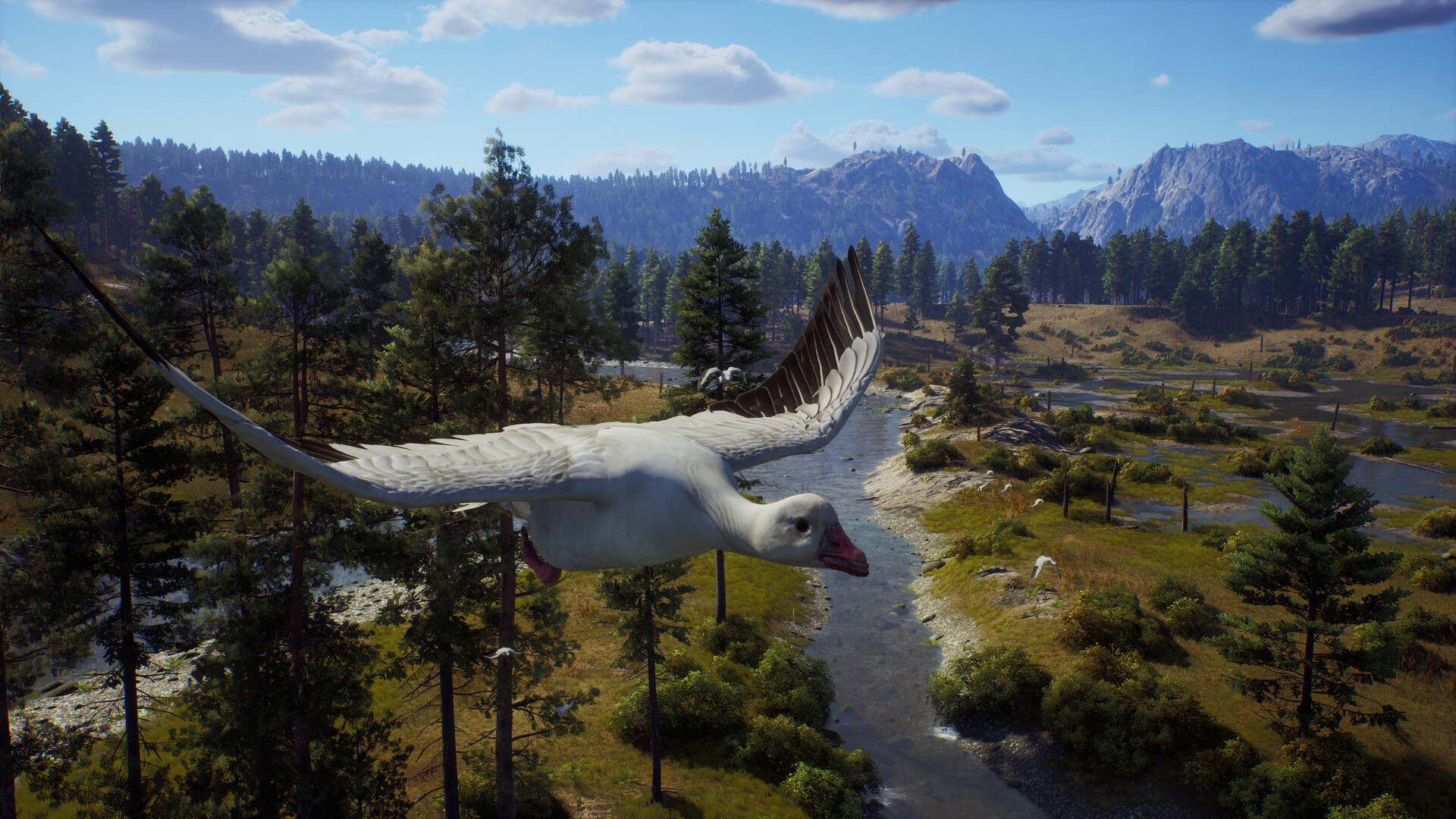 獵人之路截圖預(yù)覽