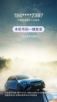 Bluelink截圖