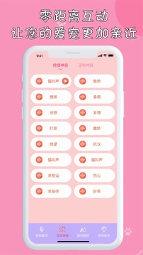 小貓截圖