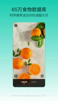 LEFU熱量減肥法截圖