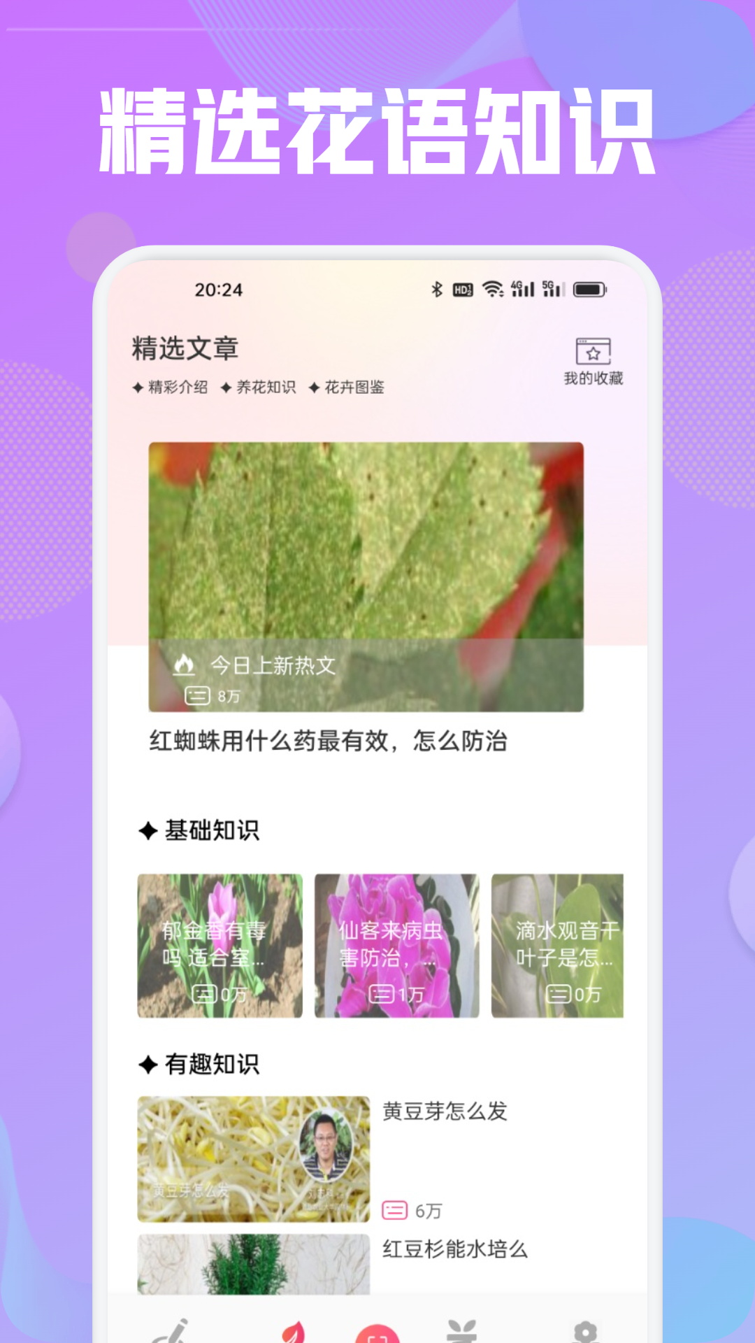 花語秀截圖預(yù)覽