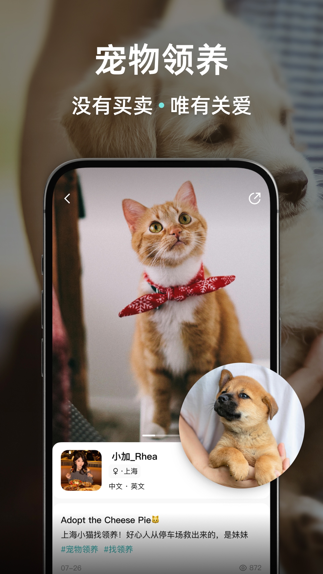 Wellcee截圖預(yù)覽