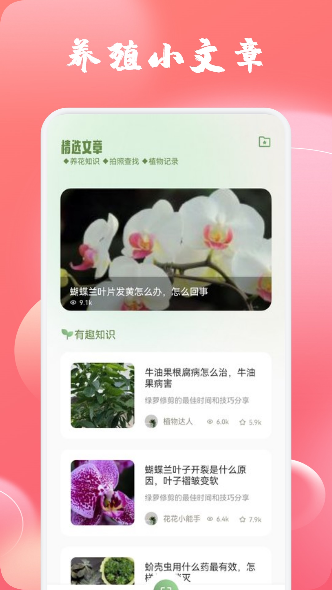 玫瑰截圖預(yù)覽