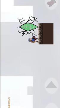 Bug蔓延之地截圖