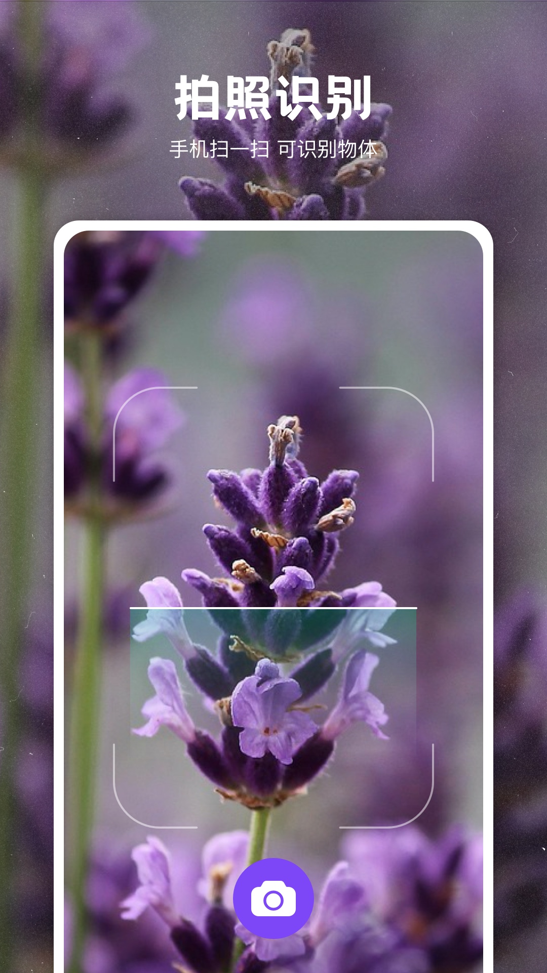 識(shí)物截圖預(yù)覽