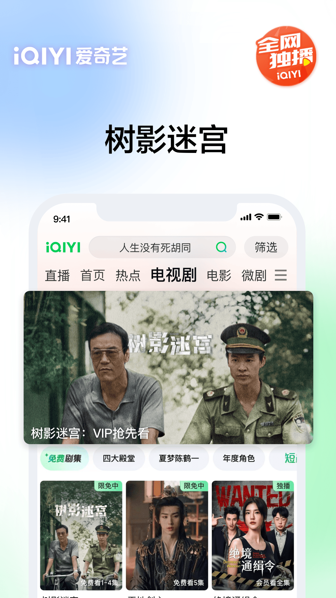 愛奇藝截圖預(yù)覽