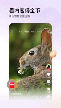 頭條搜索極速版截圖