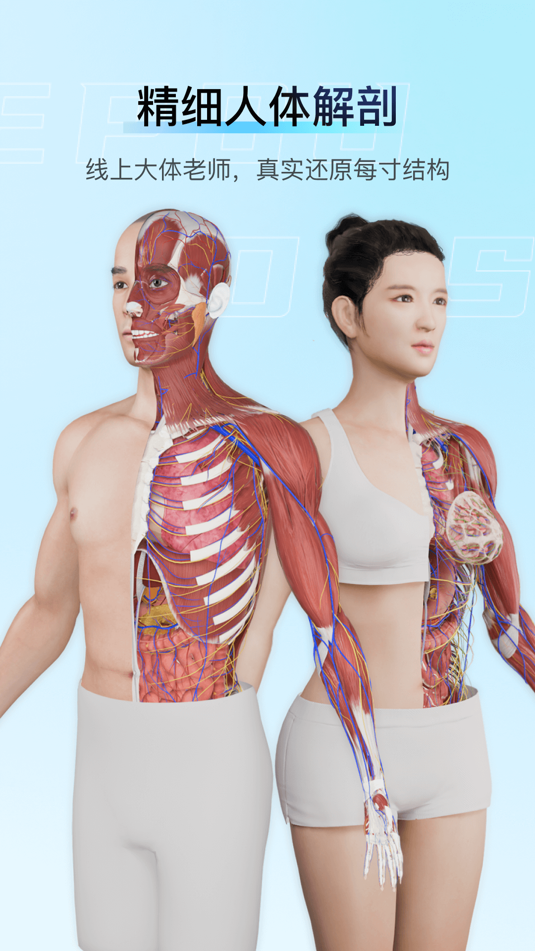 解剖大師截圖預(yù)覽