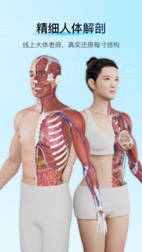 解剖大師截圖