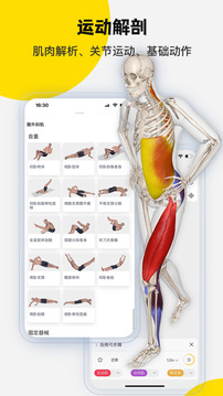 3DBody解剖截圖