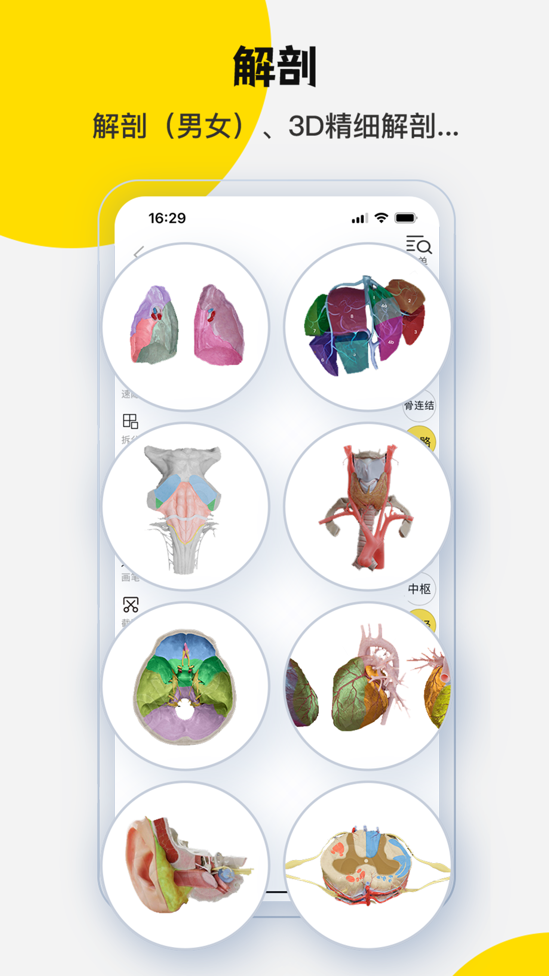应用截图3预览