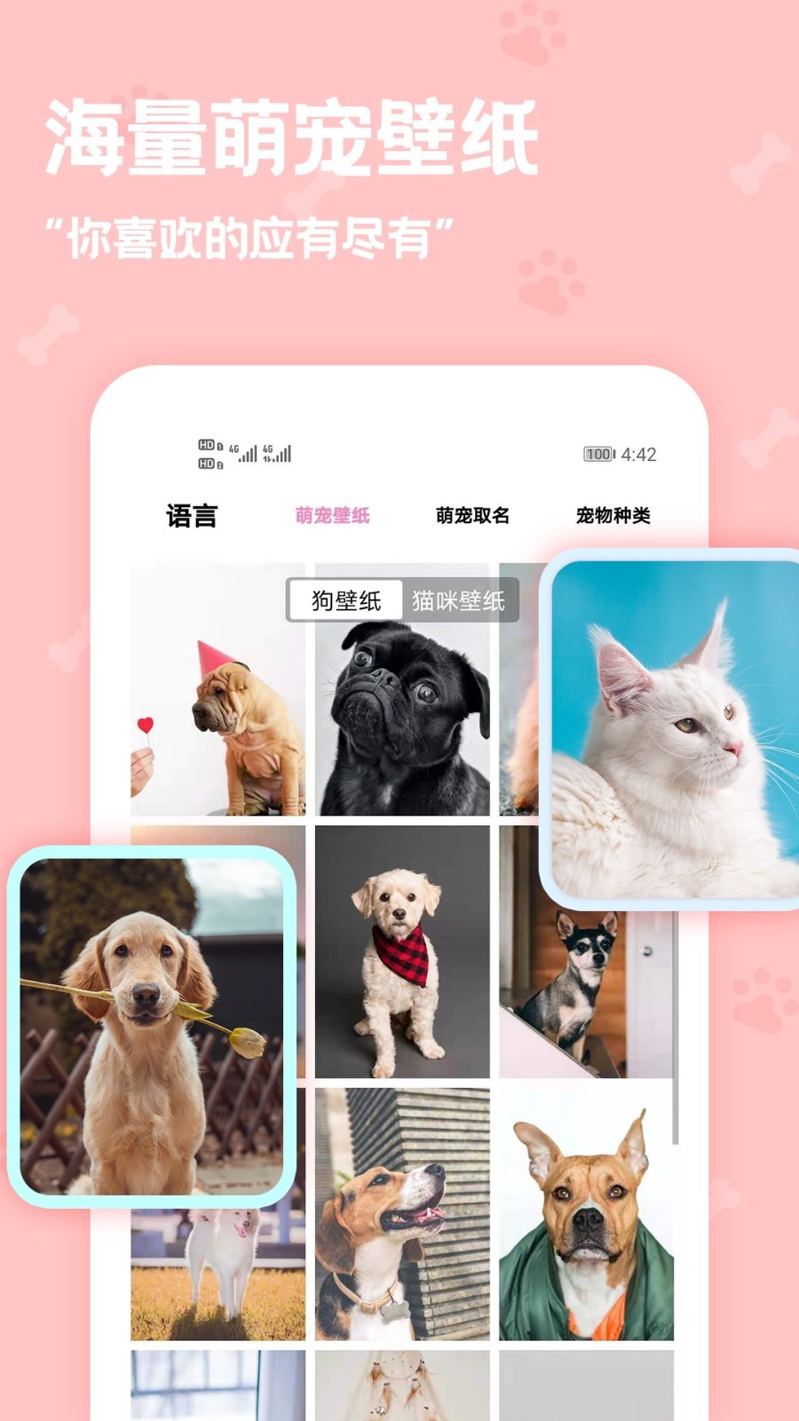 应用截图4预览