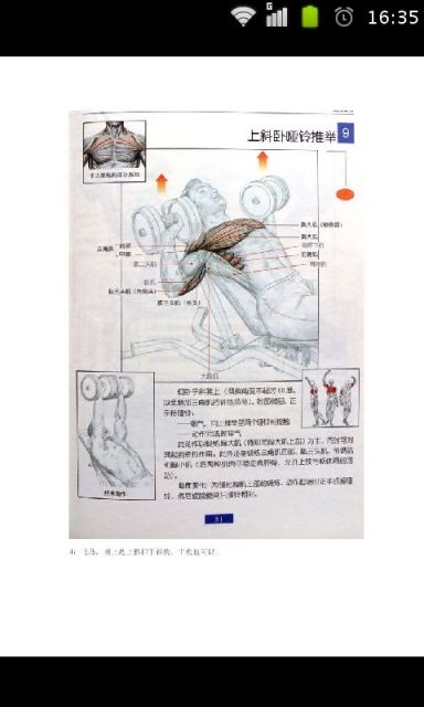 肌肉训练方法图解截图3