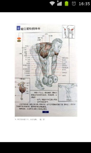 肌肉训练方法图解截图4