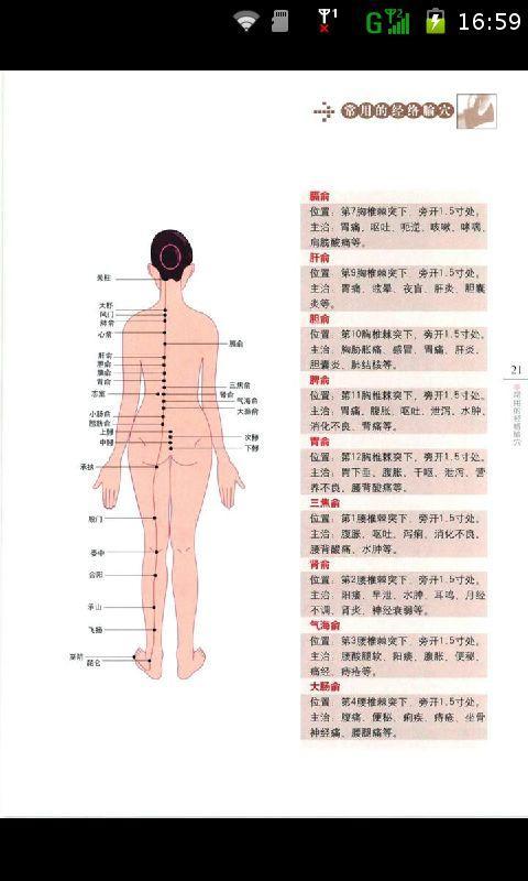 中医自然疗法之经络腧穴截图3