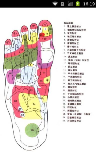 图解足部按摩之女性疾病截图5