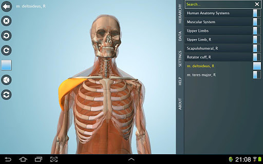 Anatomy3D截图2