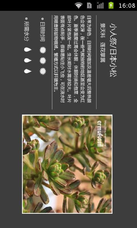 多肉植物宝典截图3