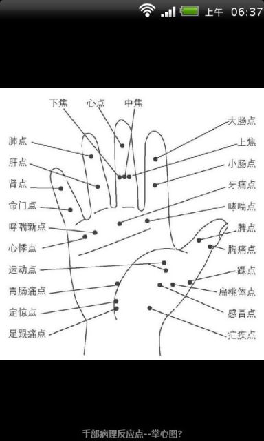 高清全身穴位按摩图谱截图1