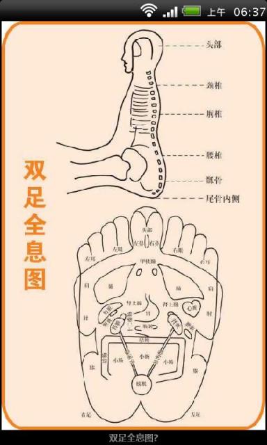 高清全身穴位按摩图谱截图5