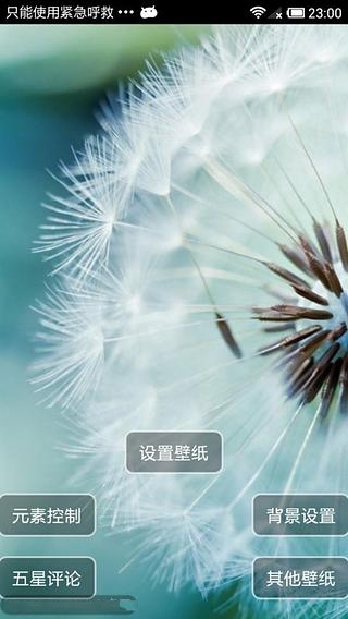 Dandelion Live Wallpaper截图1