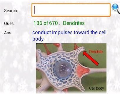 Crainial Nerves, Spinal Cord and Spinal Nerves flashcards截图1