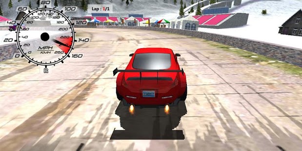 3D高速赛车 Speed Racing 3D截图2