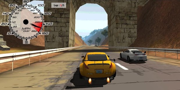 3D高速赛车 Speed Racing 3D截图3