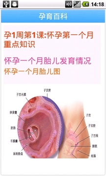 孕育百科截图