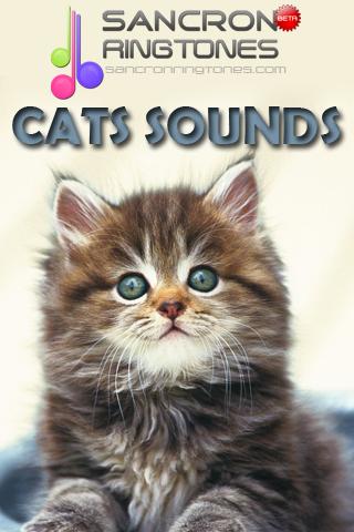 Cat Sound Ringtones截图2