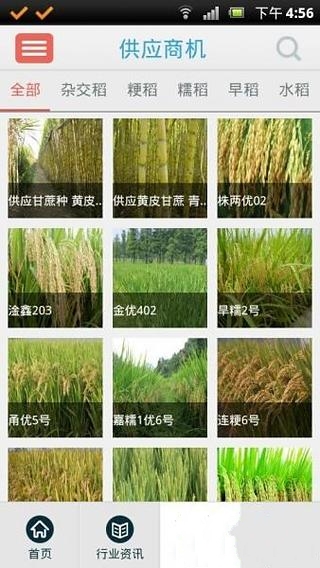 杂交水稻截图3