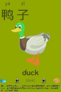 常用汉字识字卡片-儿童英语截图