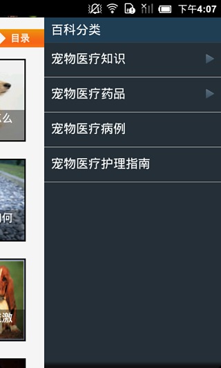 宠物医疗百科截图1