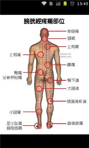 经络全解 中医健康养生必知截图2