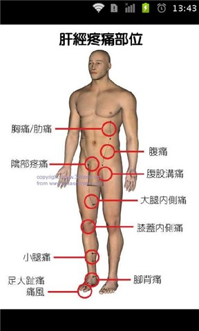 经络全解 中医健康养生必知截图3