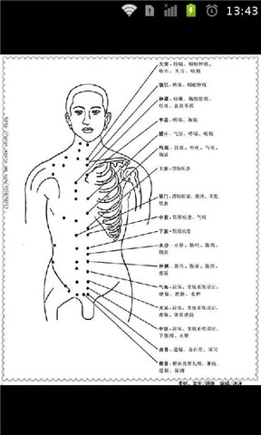 经络全解 中医健康养生必知截图6