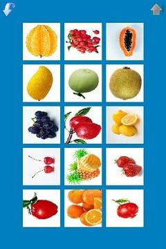 儿童学水果蔬菜截图
