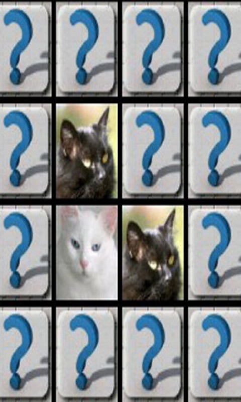 Cats and kittens memory截图2