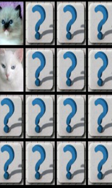 Cats and kittens memory截图4