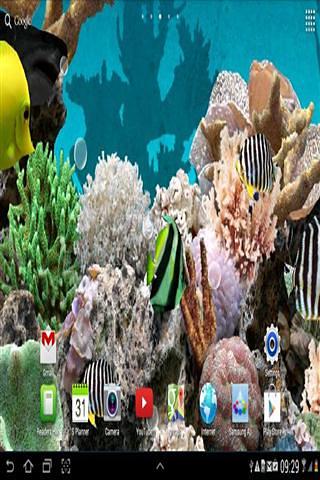 3D Aquarium Live Wallpaper截图1