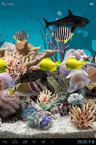 3D Aquarium Live Wallpaper截图3